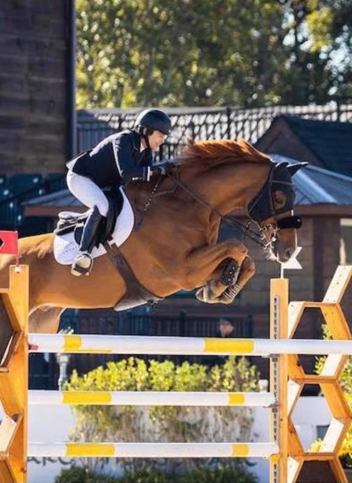 Grand prix horse Cesna M owner Virginia Bartholomay and ridden by Margie Goldstein-Engle.